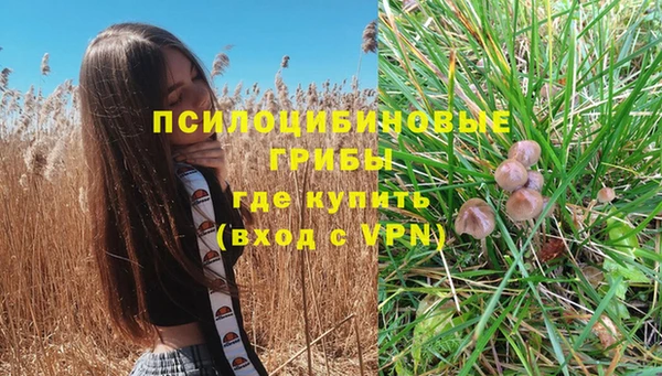 гашик Липки