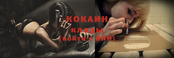 кокс Ветлуга