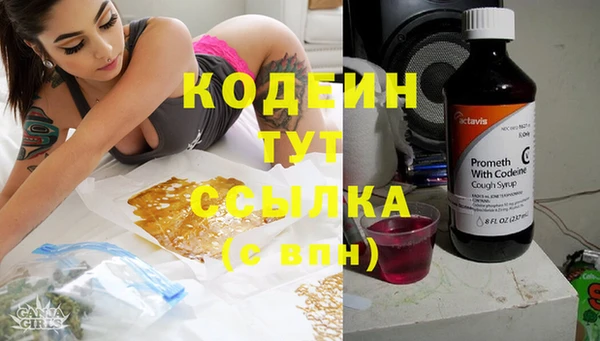 гашик Липки