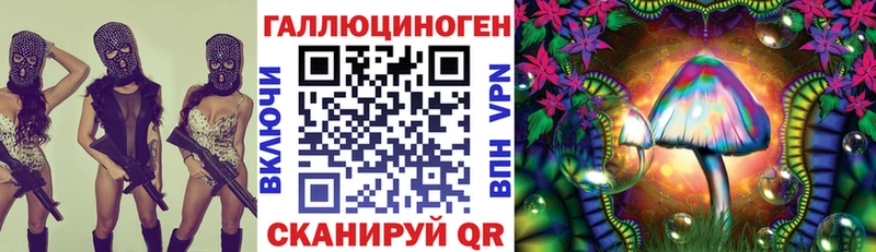 блэк спрут ссылки  хочу наркоту  Новопавловск  Галлюциногенные грибы мицелий 